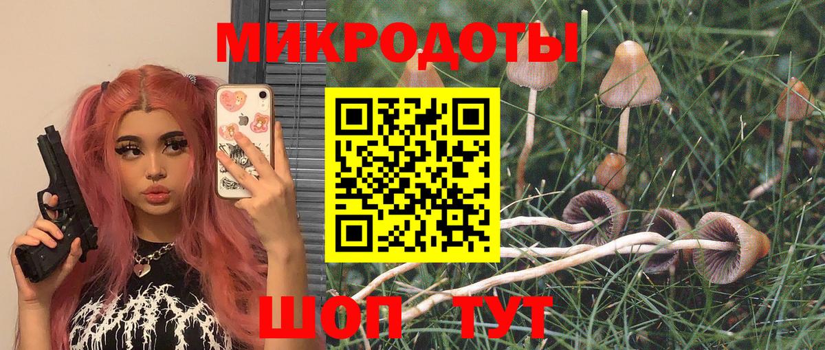 Галлюциногенные грибы мицелий Отрадное